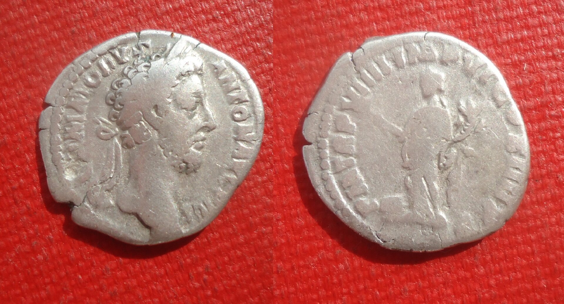 Commodus - Den. Comm as Pax Apr 2020 (0).jpg