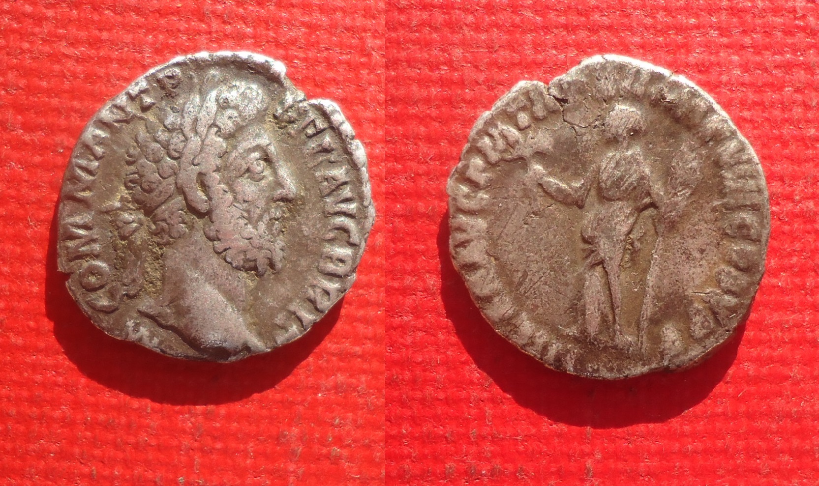 Commodus - Den. Hilaritas Nov 2019 (0).jpg