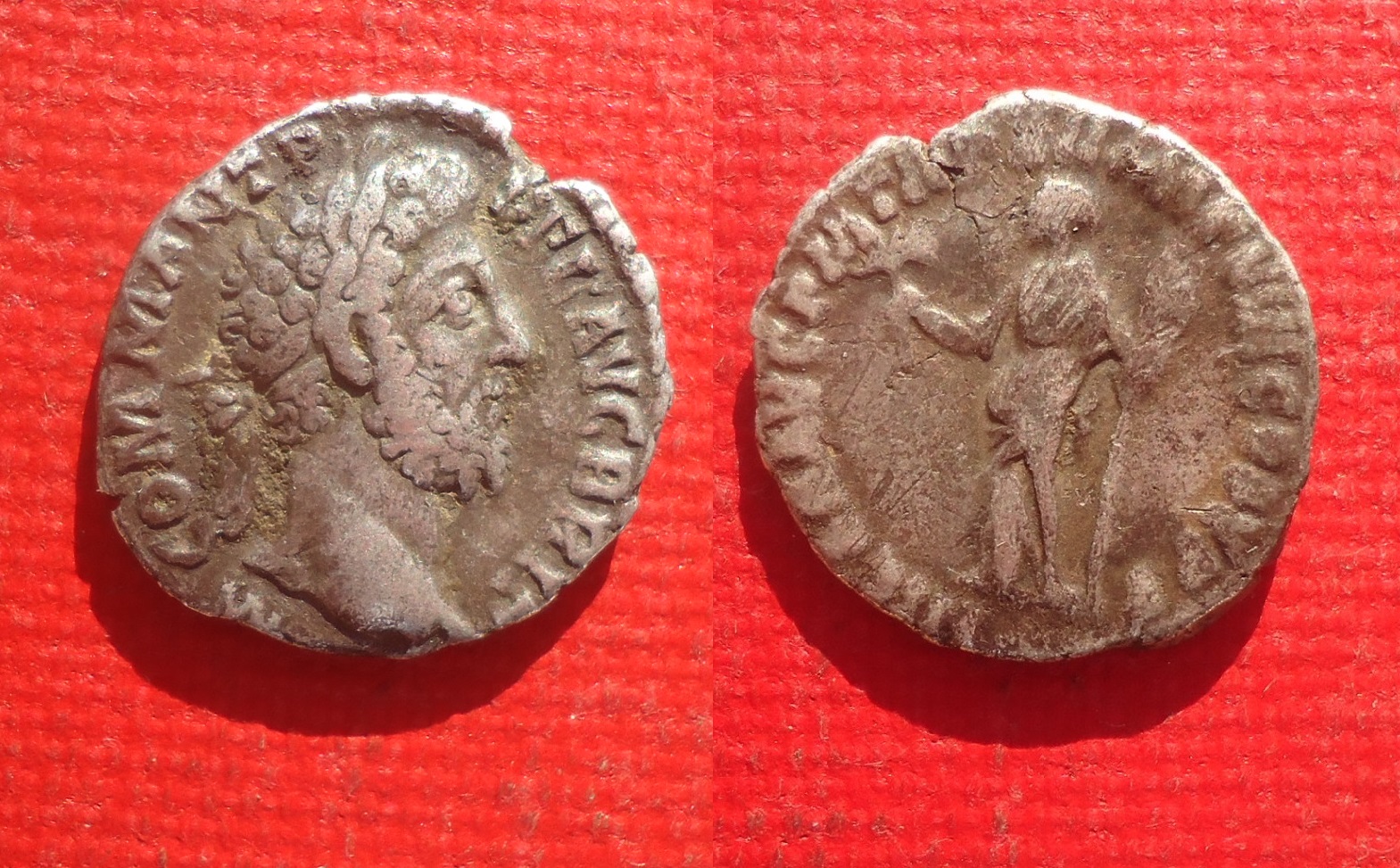 Commodus - Den. Hilaritas Nov 2019 (0c).jpg