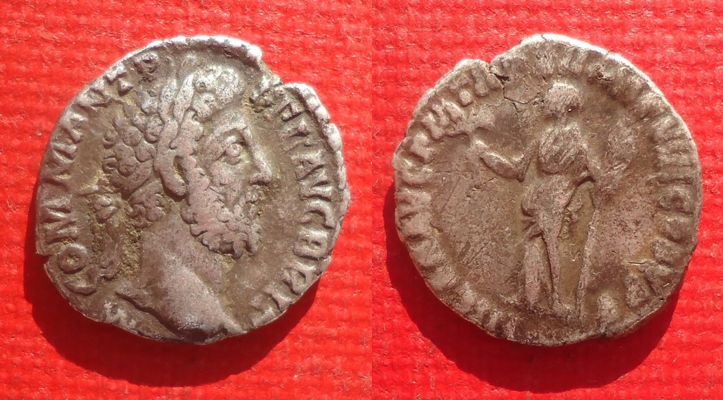 Commodus - Den. Hilaritas Nov 2019 (0c).jpg