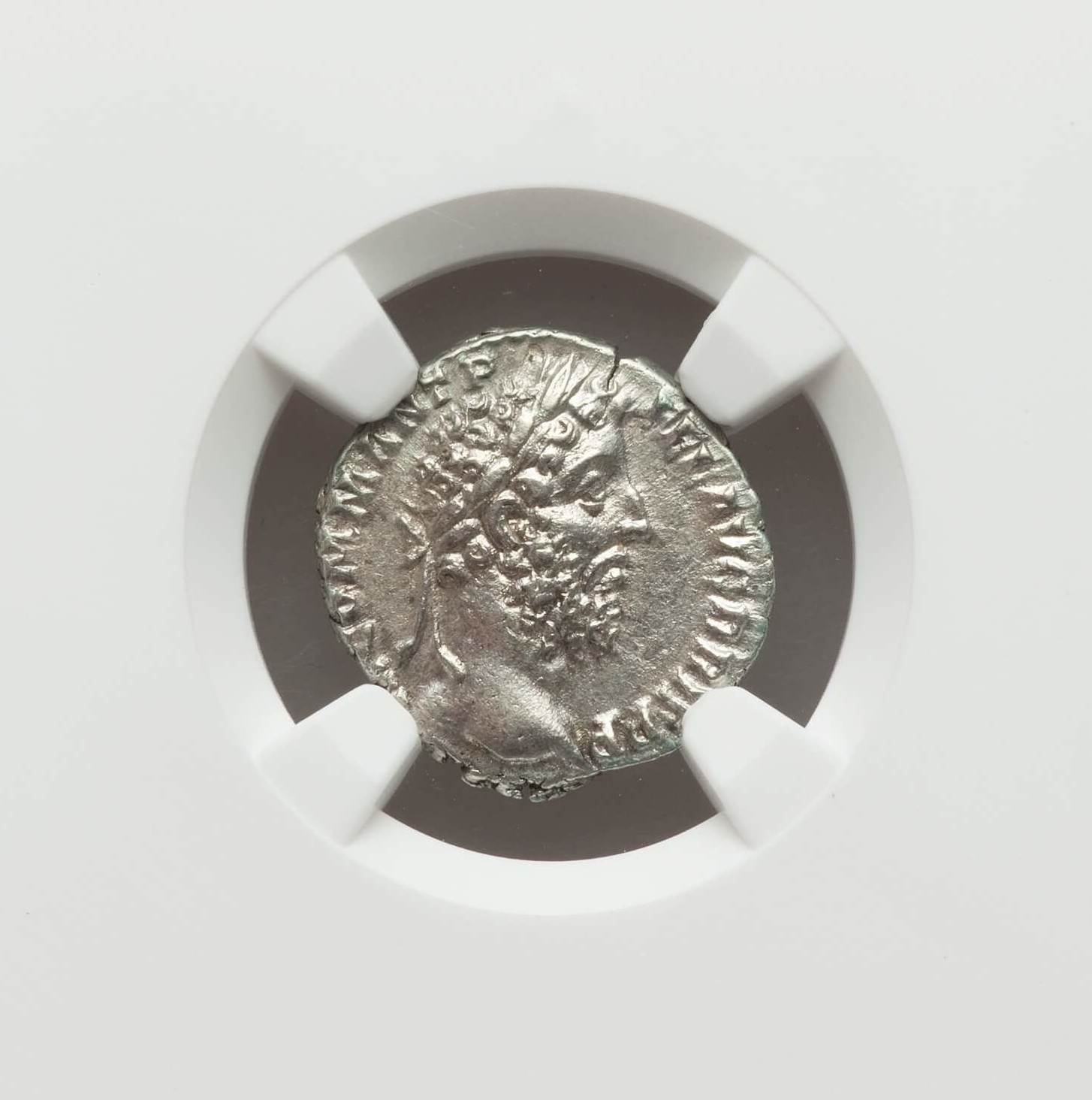 Commodus Den..jpg