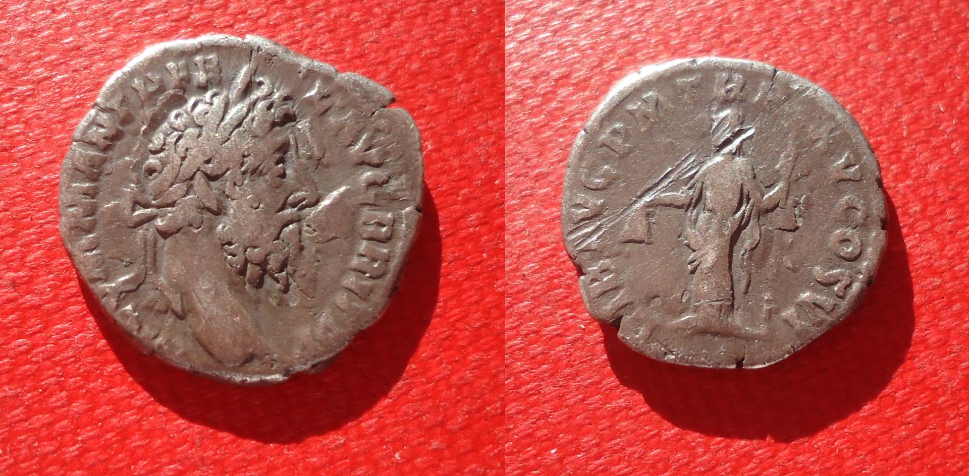 Commodus Den Libertas Dec 2018 (0).jpg
