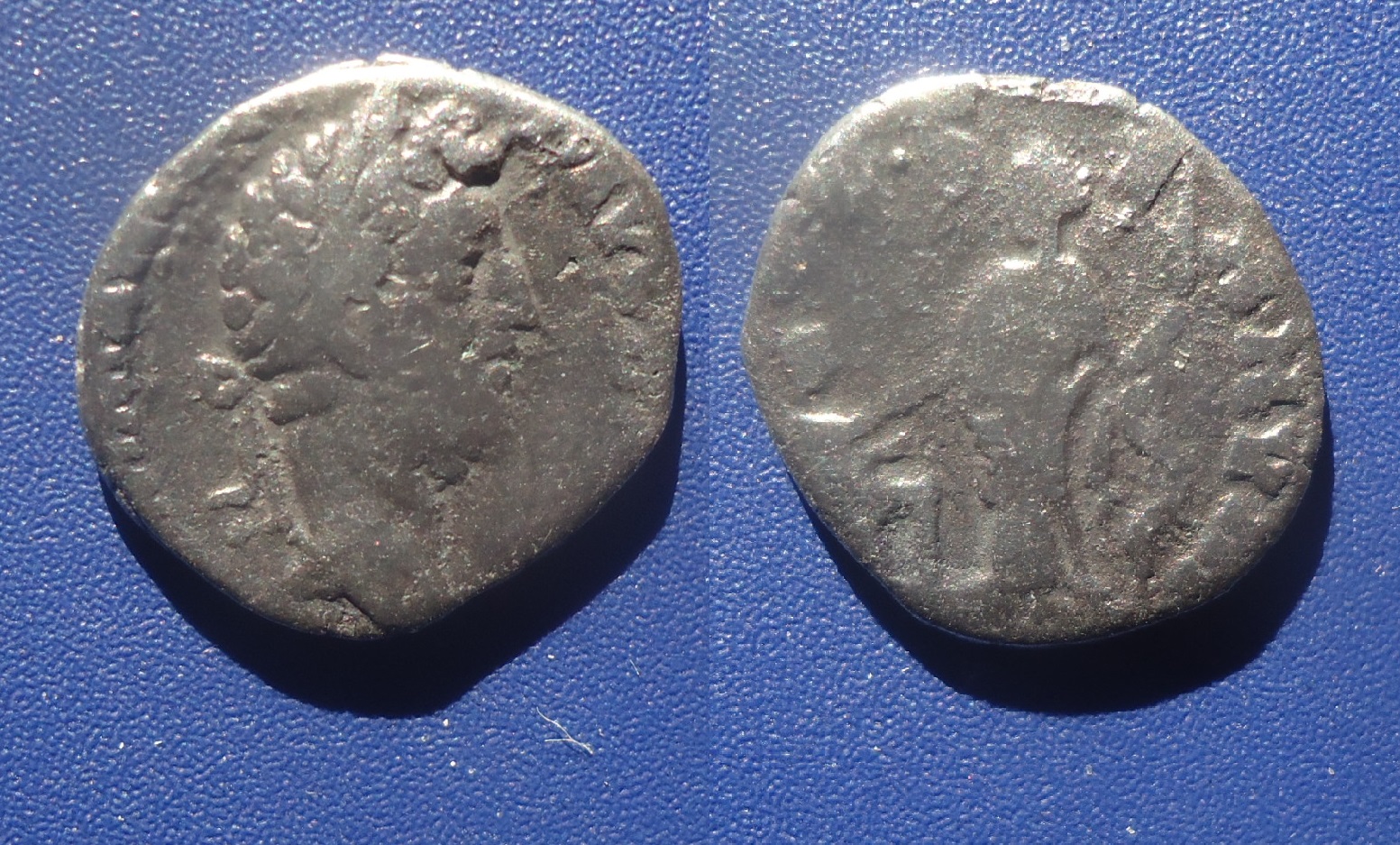Commodus - Den. Salus SAL GEN HVM Jan 2022 (0).jpg