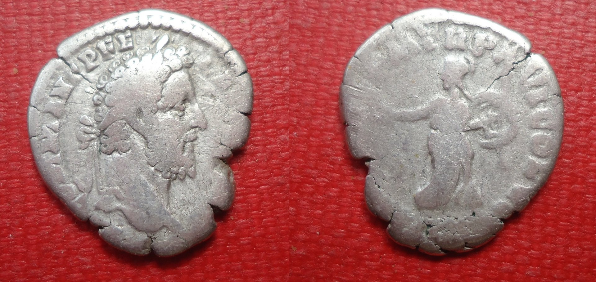 Commodus - Minerva Den Apr 2019 (0).jpg