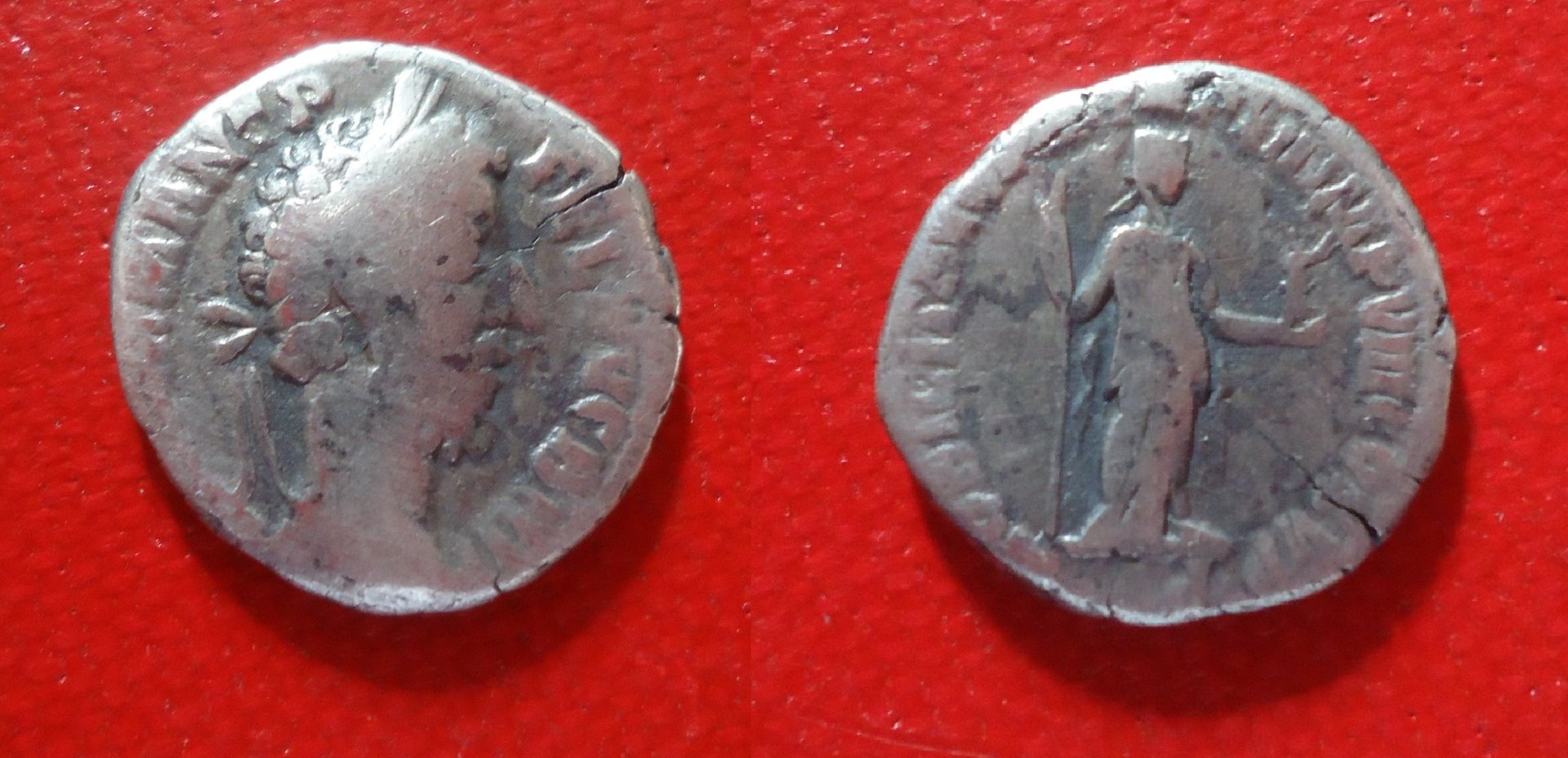 Commodus - Nobilitas Den Feb 19 (0).jpg