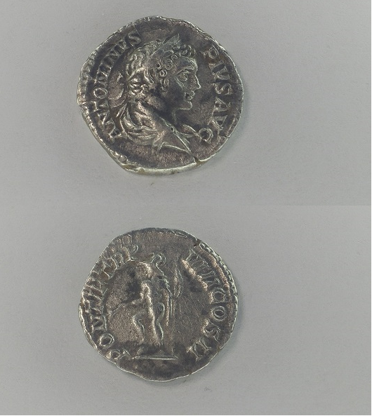 Commodus Paint.png