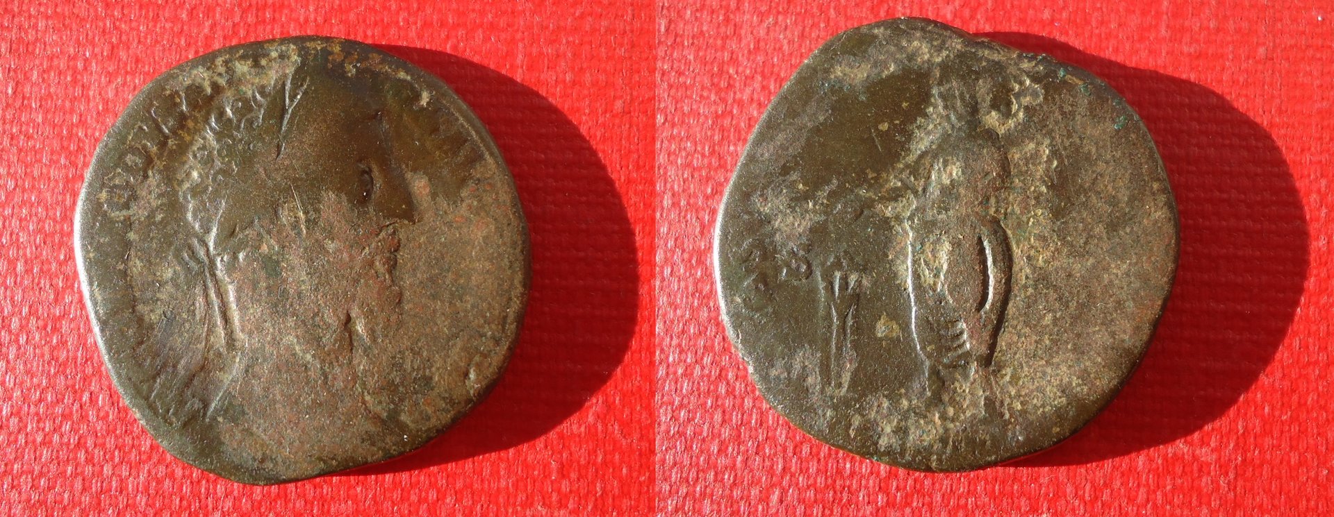 Commodus Sest Tripod Nov 18 (0).jpg