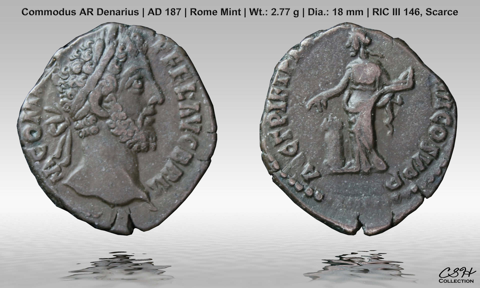 Commodus_Den_187.jpg