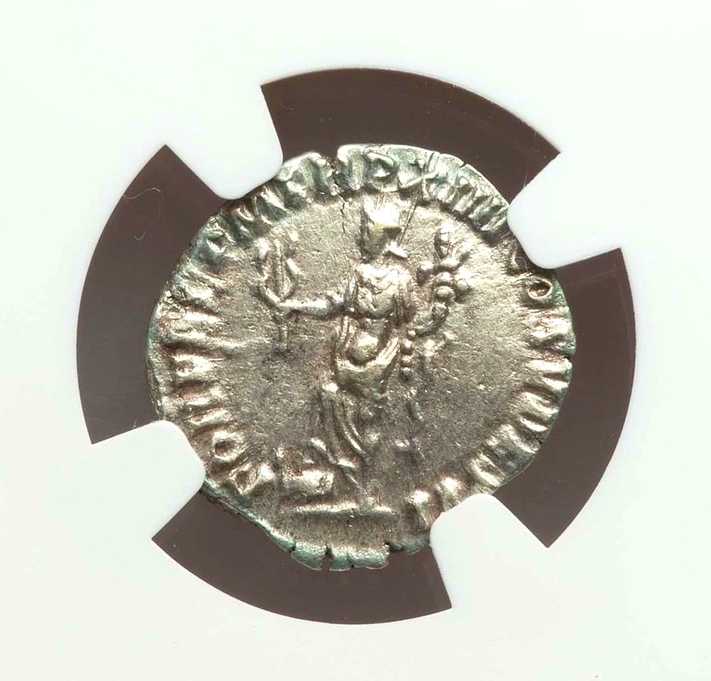 Comodus den. rev (2).jpg