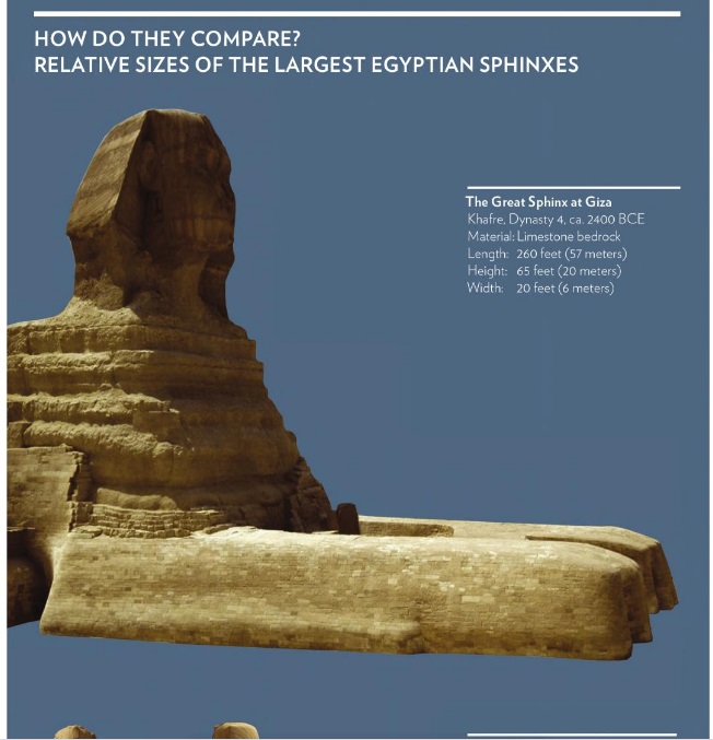 comparative sizes of sphinxes title.jpg