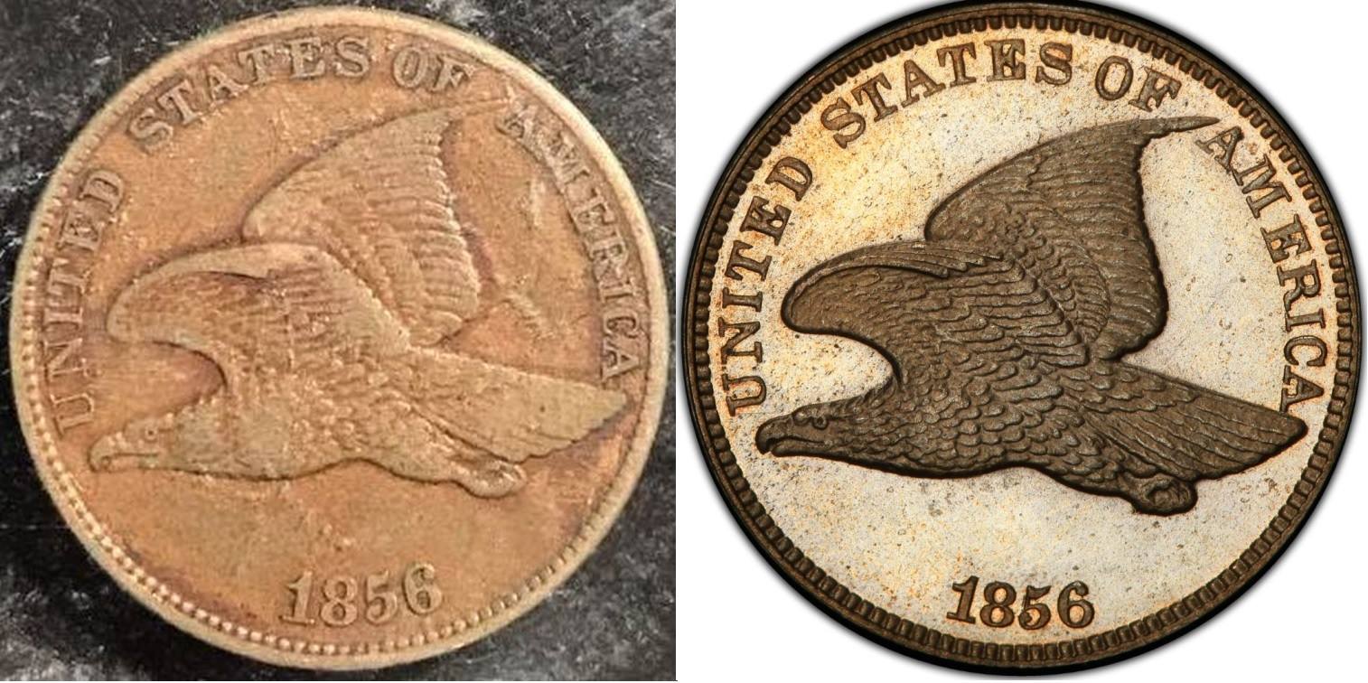 comparison-obv.jpg