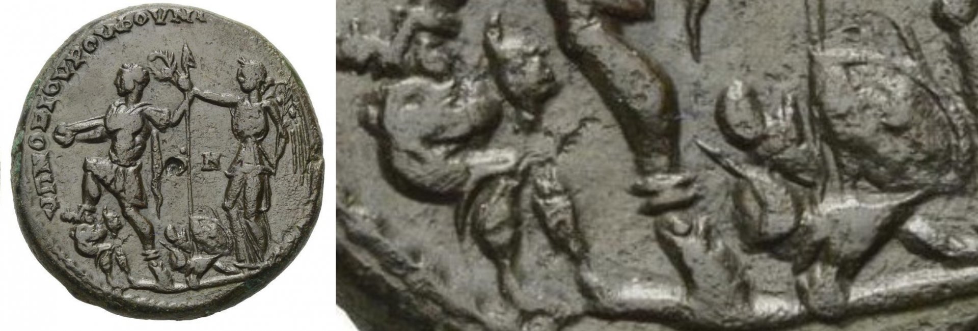 Comparison Specimen Solidus 43-120 Collage.jpg