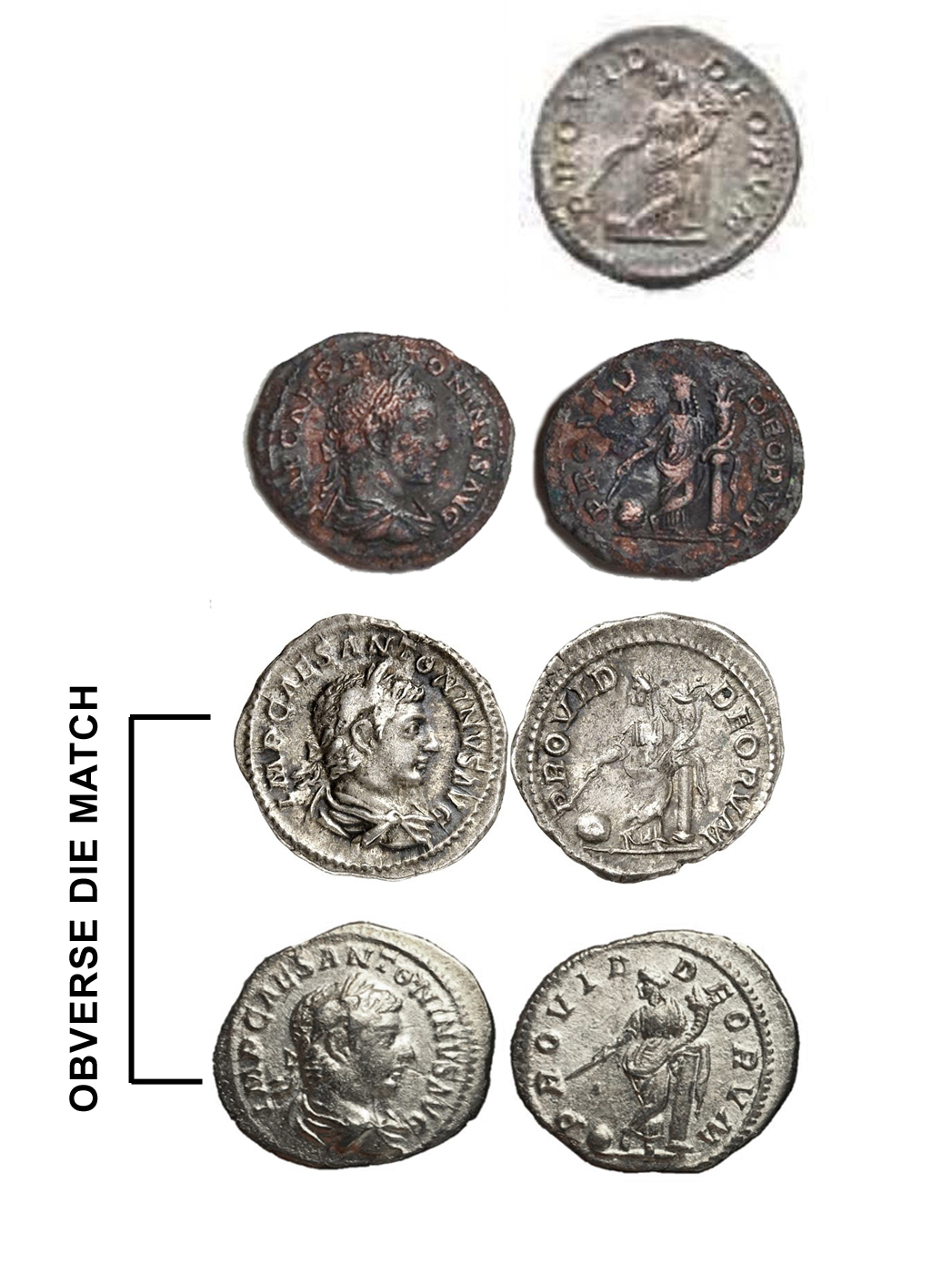 comparison2.jpg
