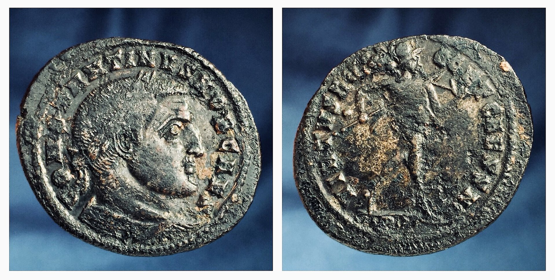 CON 1 CAES VIRTUS.jpg