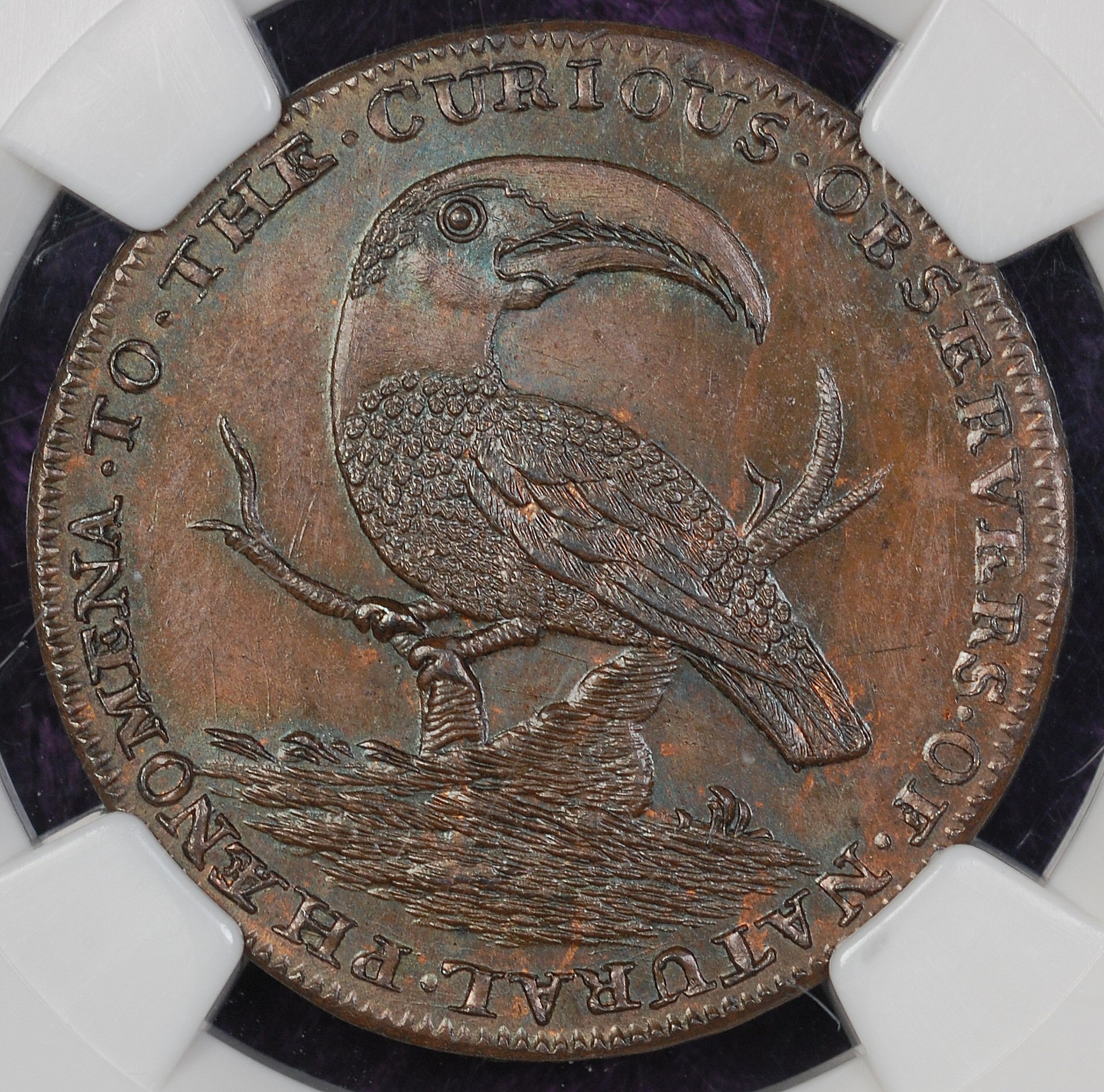 Conder token toucan obv.jpg