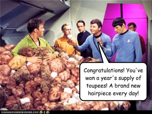 congratulations-youve-won-a-years-supply-of-toupees-a-brand-new-hairpiece-every-day.jpeg