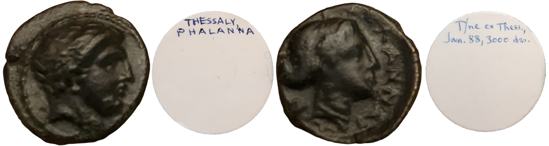 CONSERVATORI-BCD Thessaly Phalanna #15.png