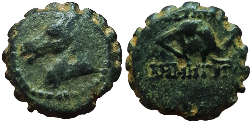 CONSERVATORI Demetrios I Elephant Horse Ex Clain-Stefanelli Collection.png