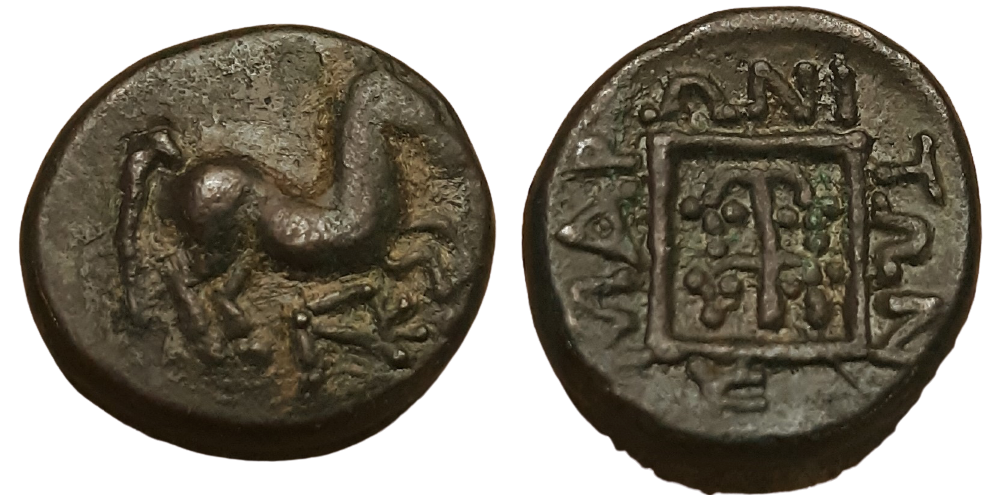 CONSERVATORI-Maroneia AE Horse & Grapes #1.png