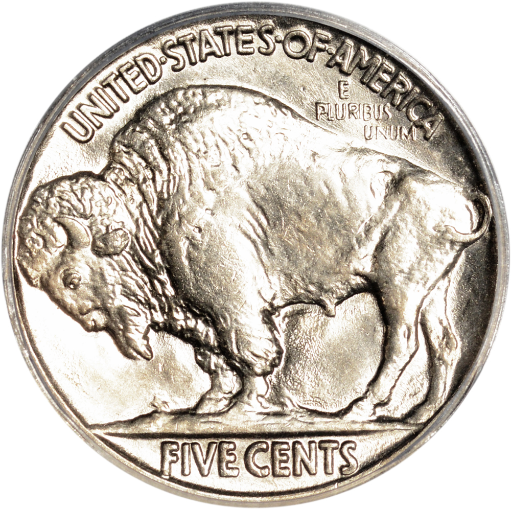 Conserved-0.05-1915-2.jpg