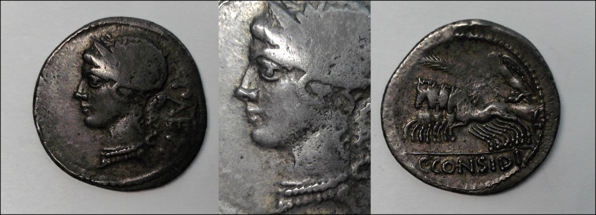 Considia 7 denarius.jpg
