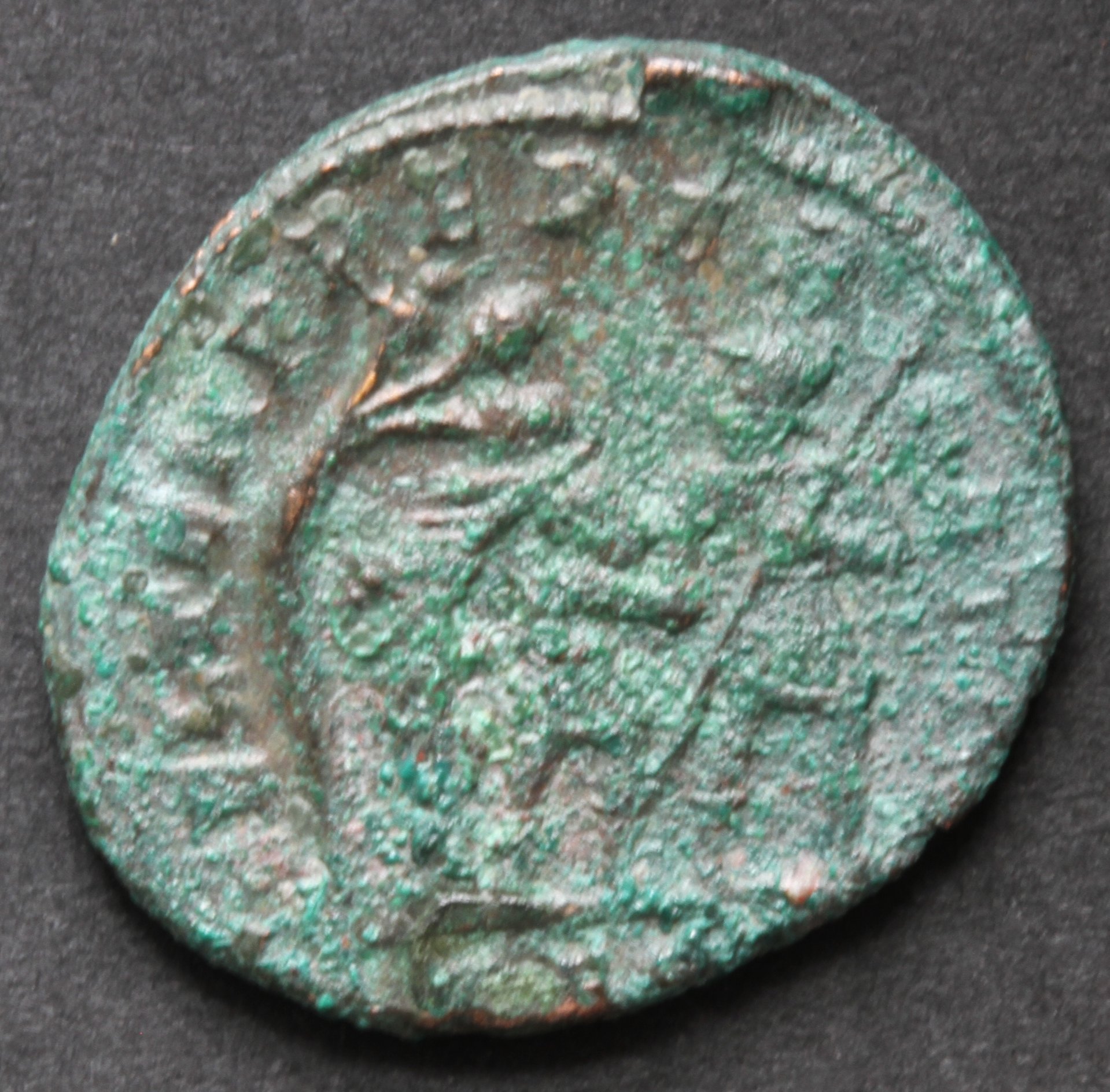 Constans 20150050 before rev.JPG