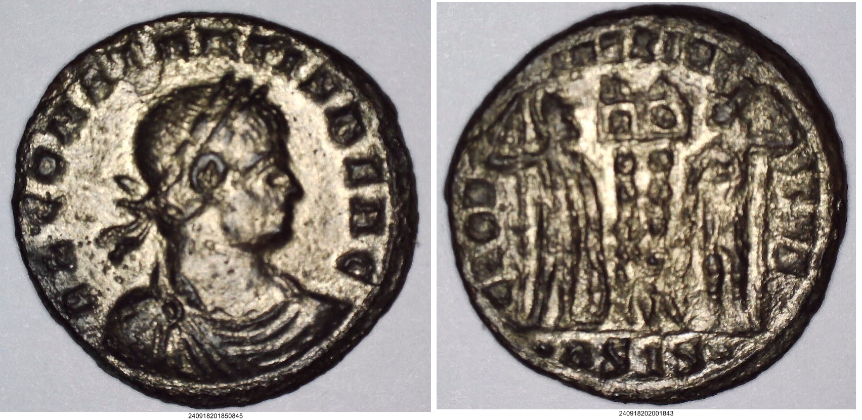 Constans dot ASIS dot.jpg