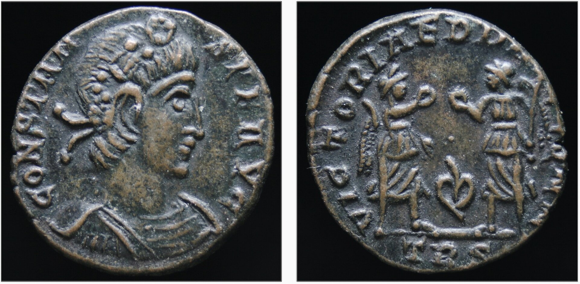 constans leaf.jpg