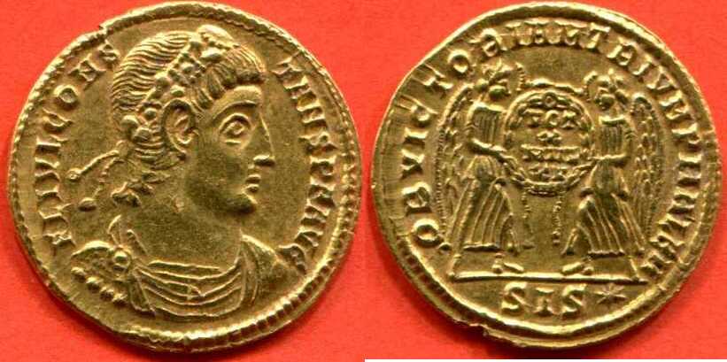 Constans solidus Alan Cheilan 2021 photo.jpg