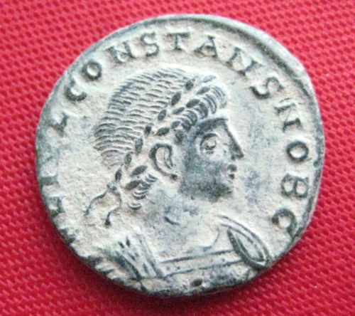 Constans16_OBV.JPG