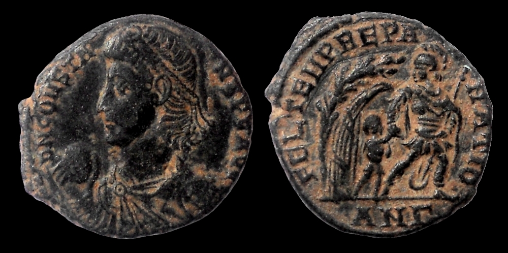 constans2.jpg