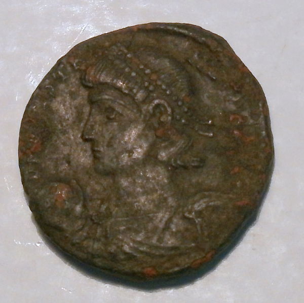 Constans2 OBV_opt.jpg