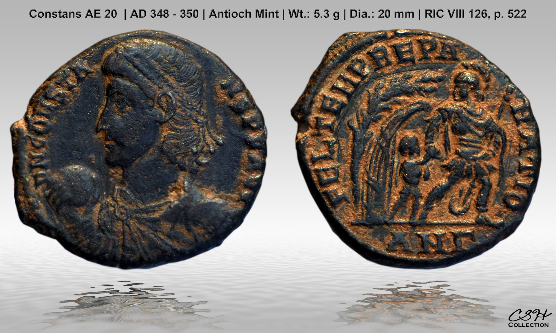 Constans_Antioch_CSH_348-350.jpg