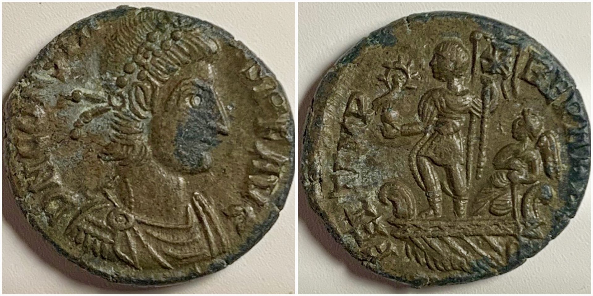 ConstansRIC96.jpg
