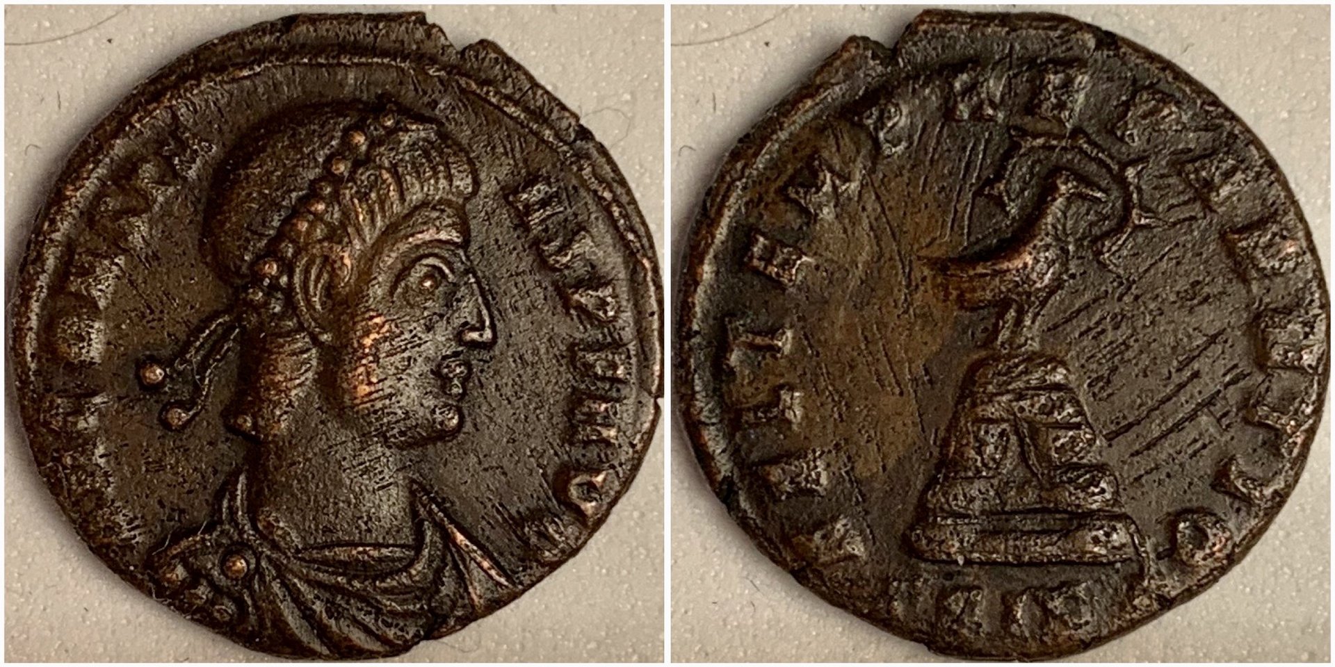 ConstansSisciaRIC241FAKE.JPG