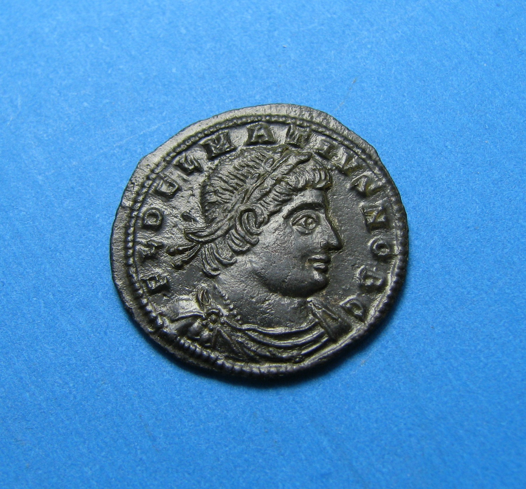 ConstantiaDelmatius 100.JPG