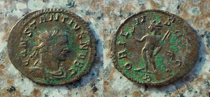 constantius 1.JPG