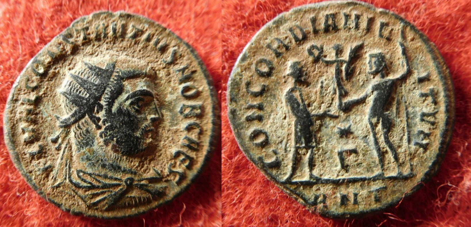 constantius ANT.JPG