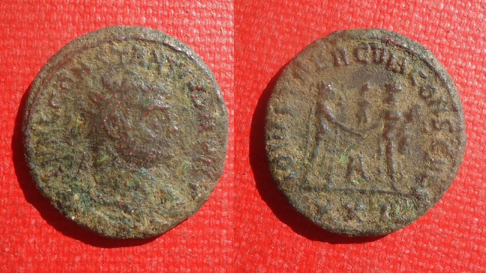 Constantius Chlorus - AE IOVI & HERC NC lot July 2020 (0).jpg