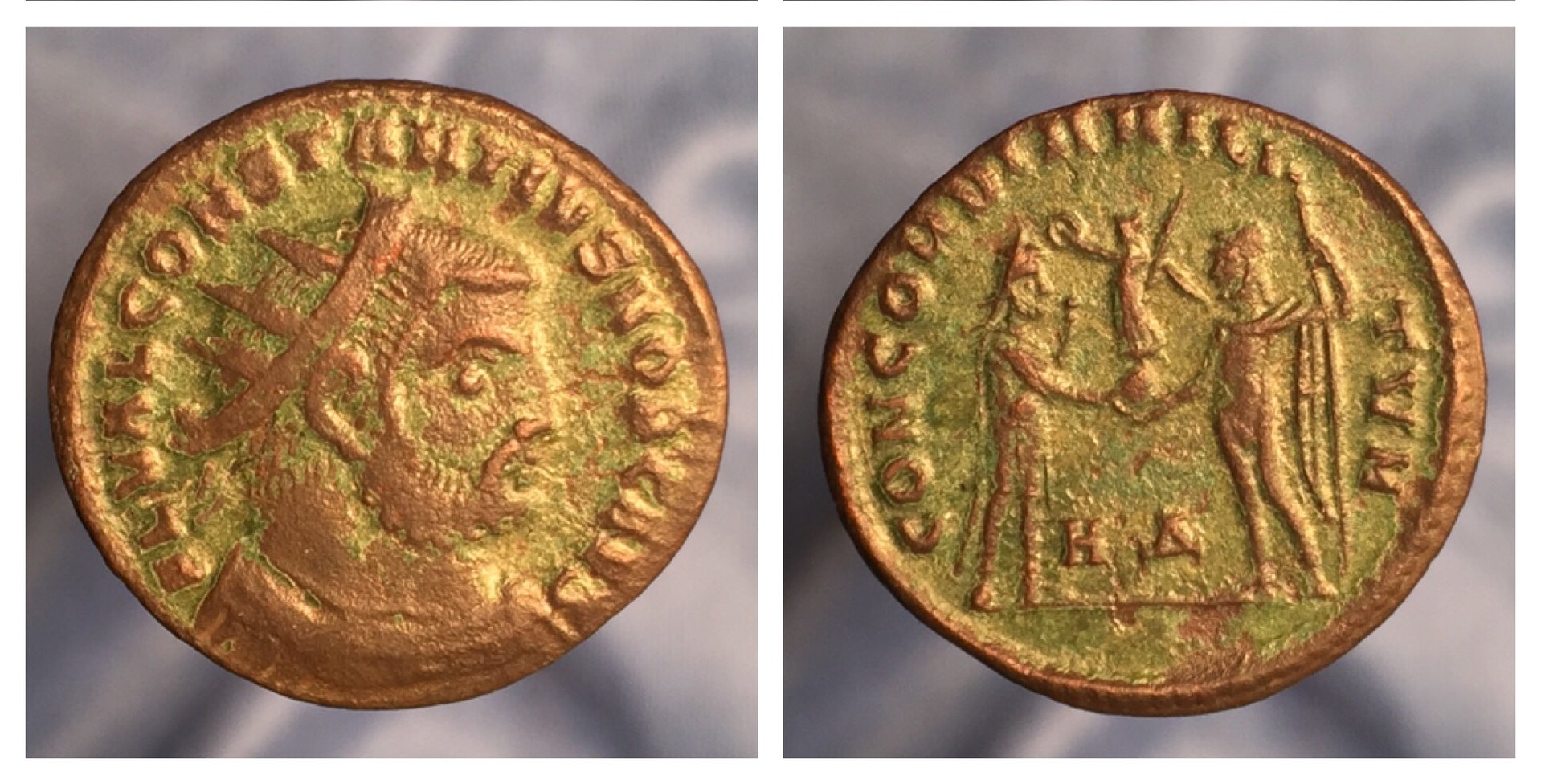 CONSTANTIUS CHLORUS ANT 1.jpeg
