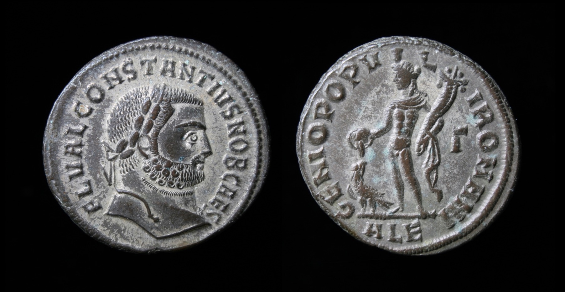 constantius DD.jpg