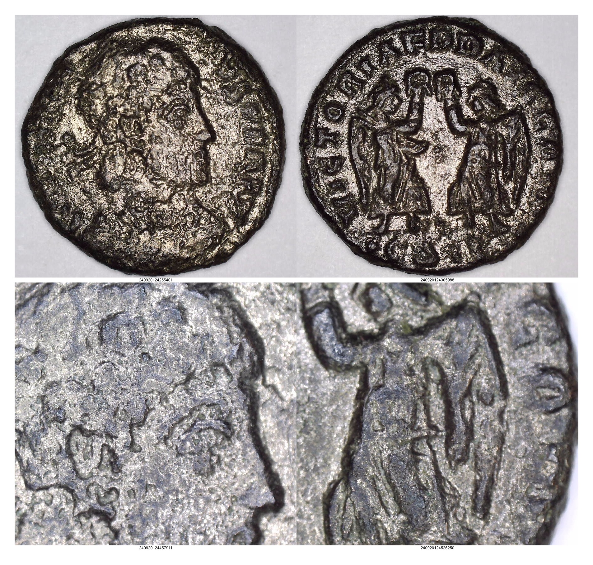 Constantius II dot Epsilon SIS dot.jpg