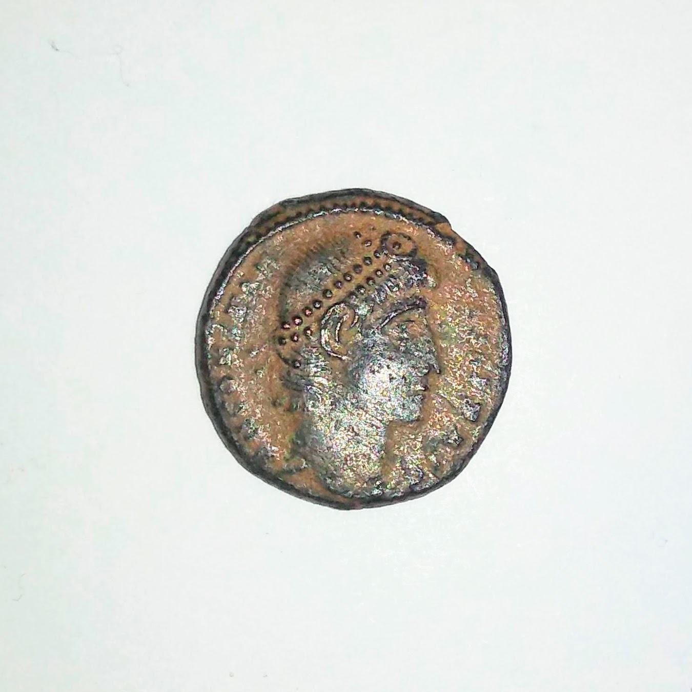 Constantius II Obverse.jpg