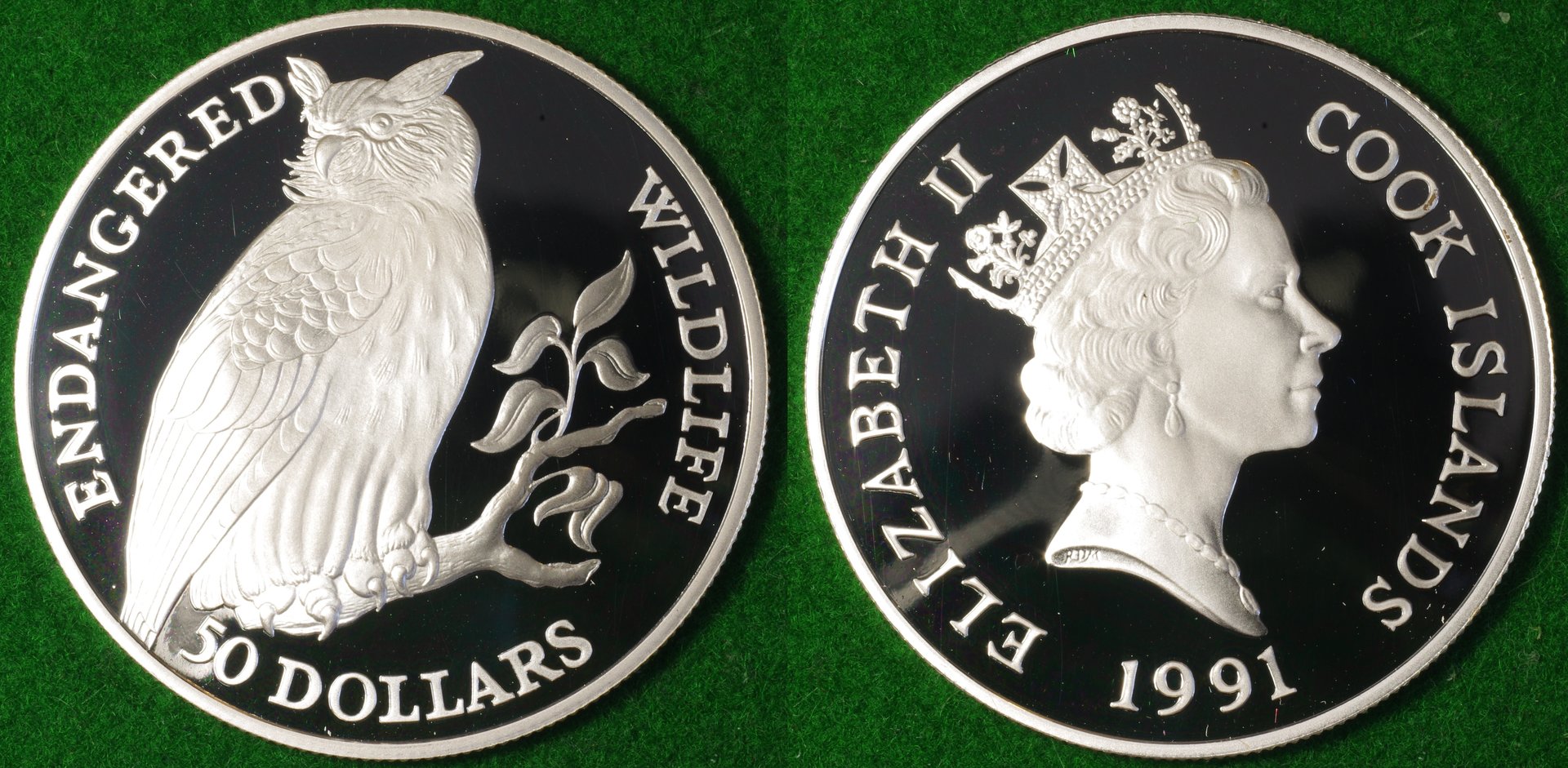 Cook Islands 50D 1991 Owl 1-horz.jpg