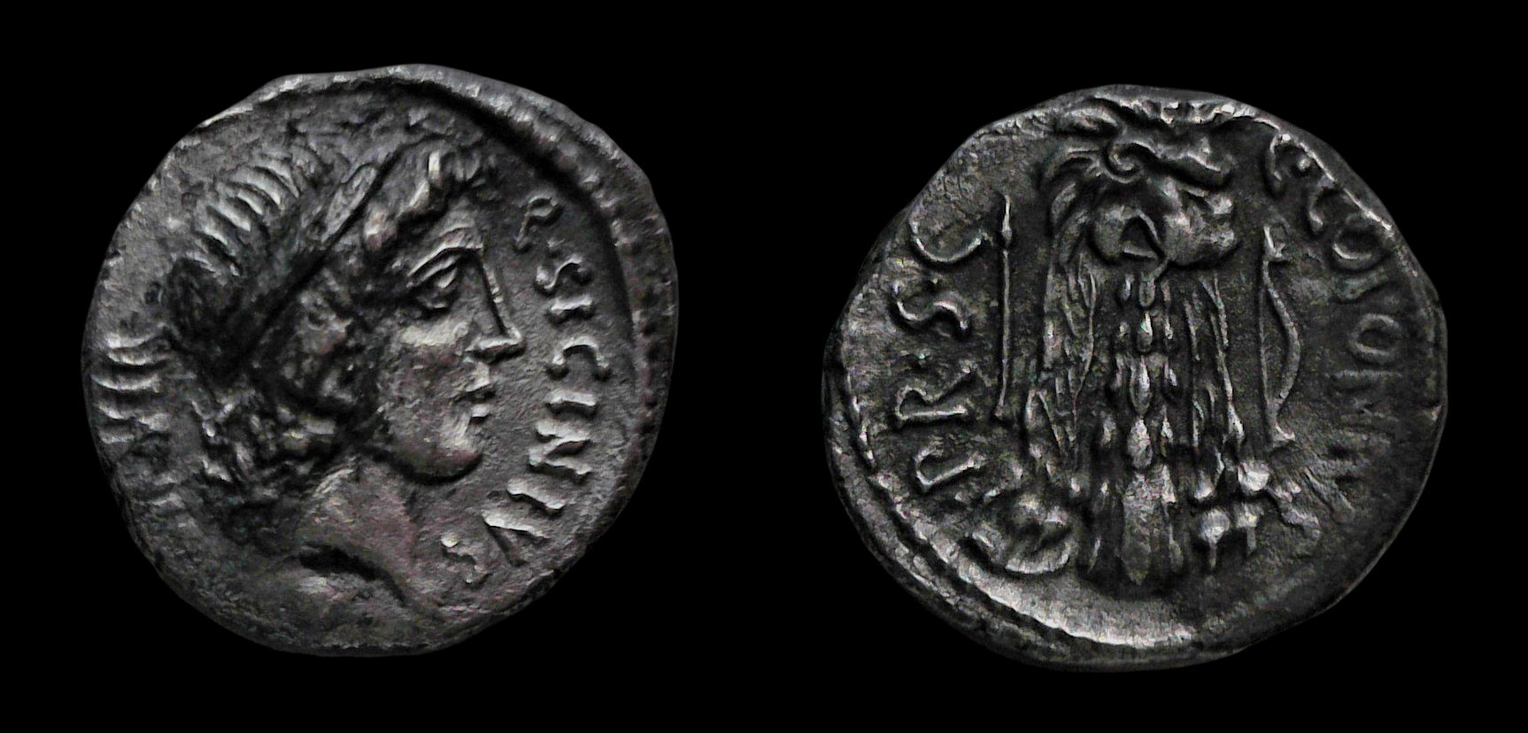 Coponius denarius Blk.jpg