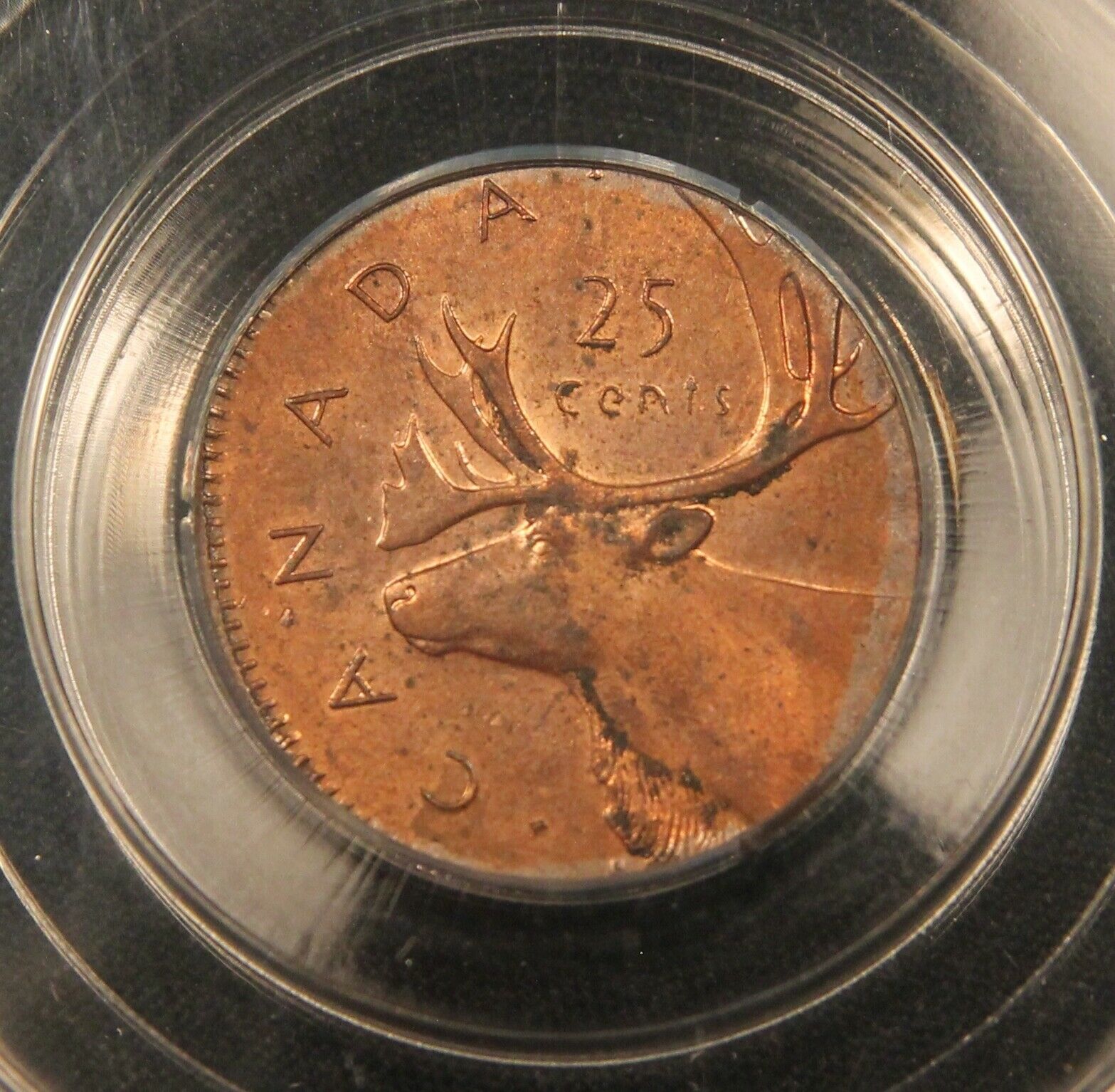copper quarter 1 copy.jpg