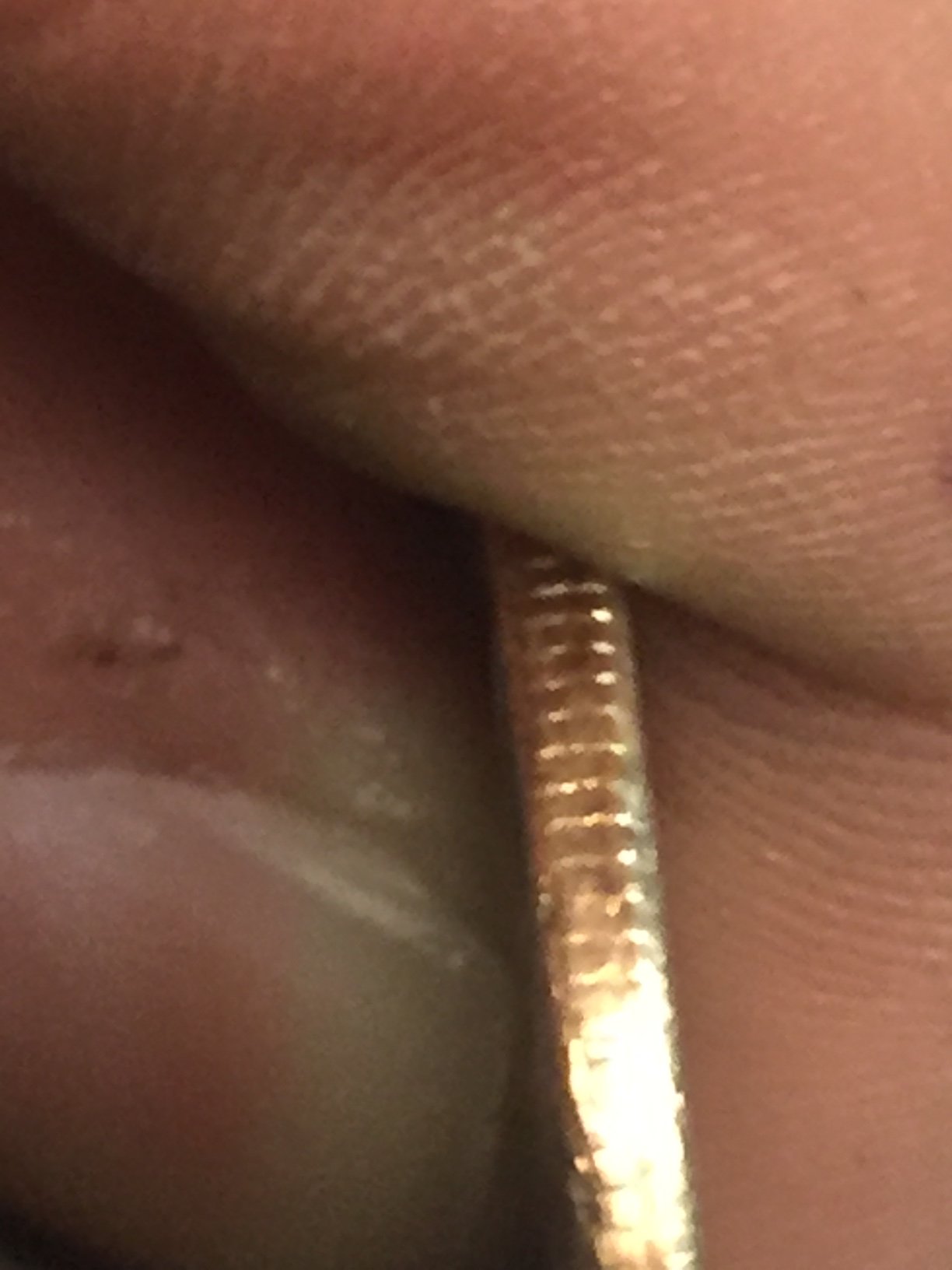 copper rim 2.JPG