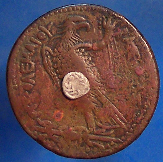 Copy of 017.JPG