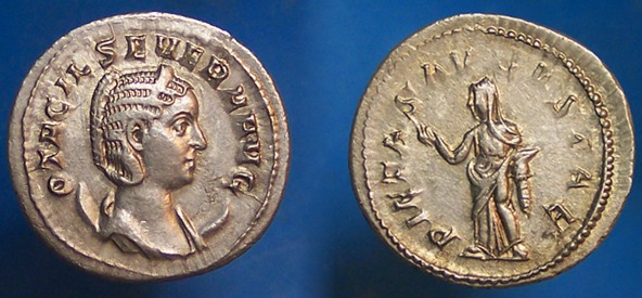Copy of 1010018.JPG