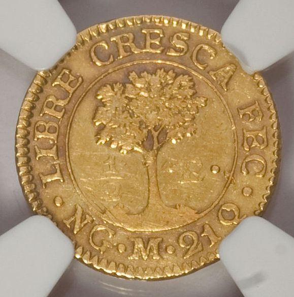 Copy of Central America Republic Reverse.jpg